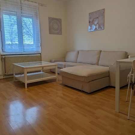 Le Balois - Appartement 2 Chambres, Salon, Cuisine Equipee, Parking Et Wifi Gratuit Mulhouse Bagian luar foto