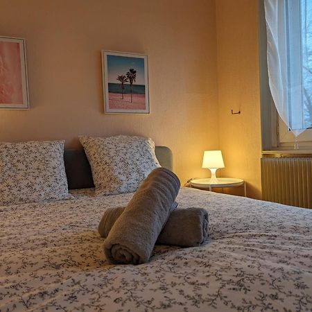 Le Balois - Appartement 2 Chambres, Salon, Cuisine Equipee, Parking Et Wifi Gratuit Mulhouse Bagian luar foto