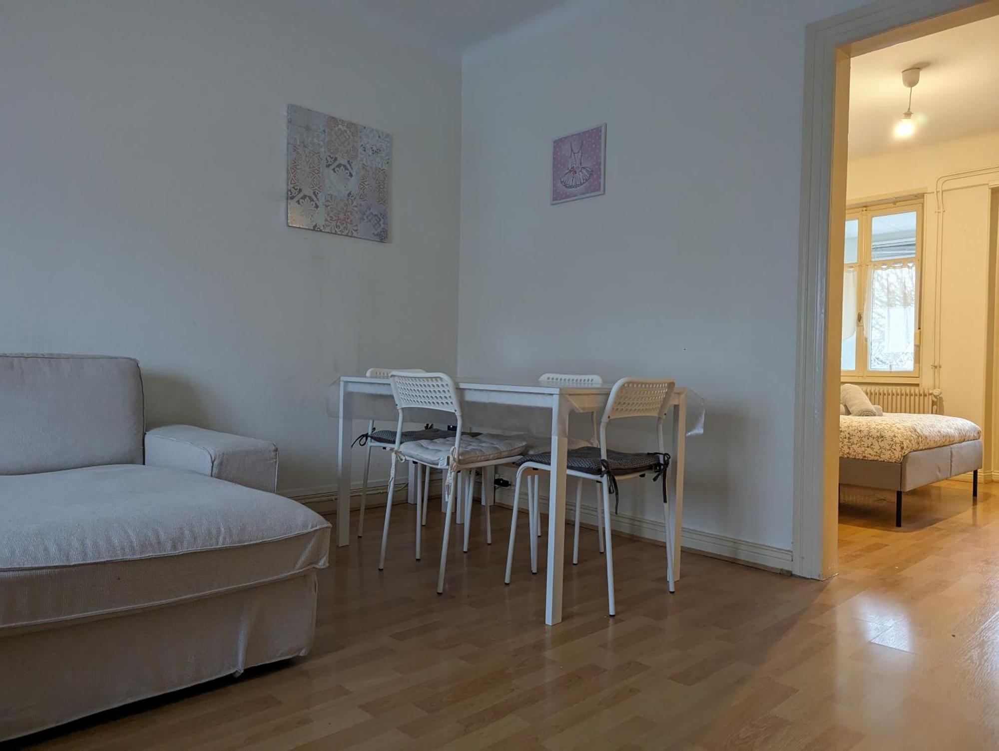 Le Balois - Appartement 2 Chambres, Salon, Cuisine Equipee, Parking Et Wifi Gratuit Mulhouse Bagian luar foto