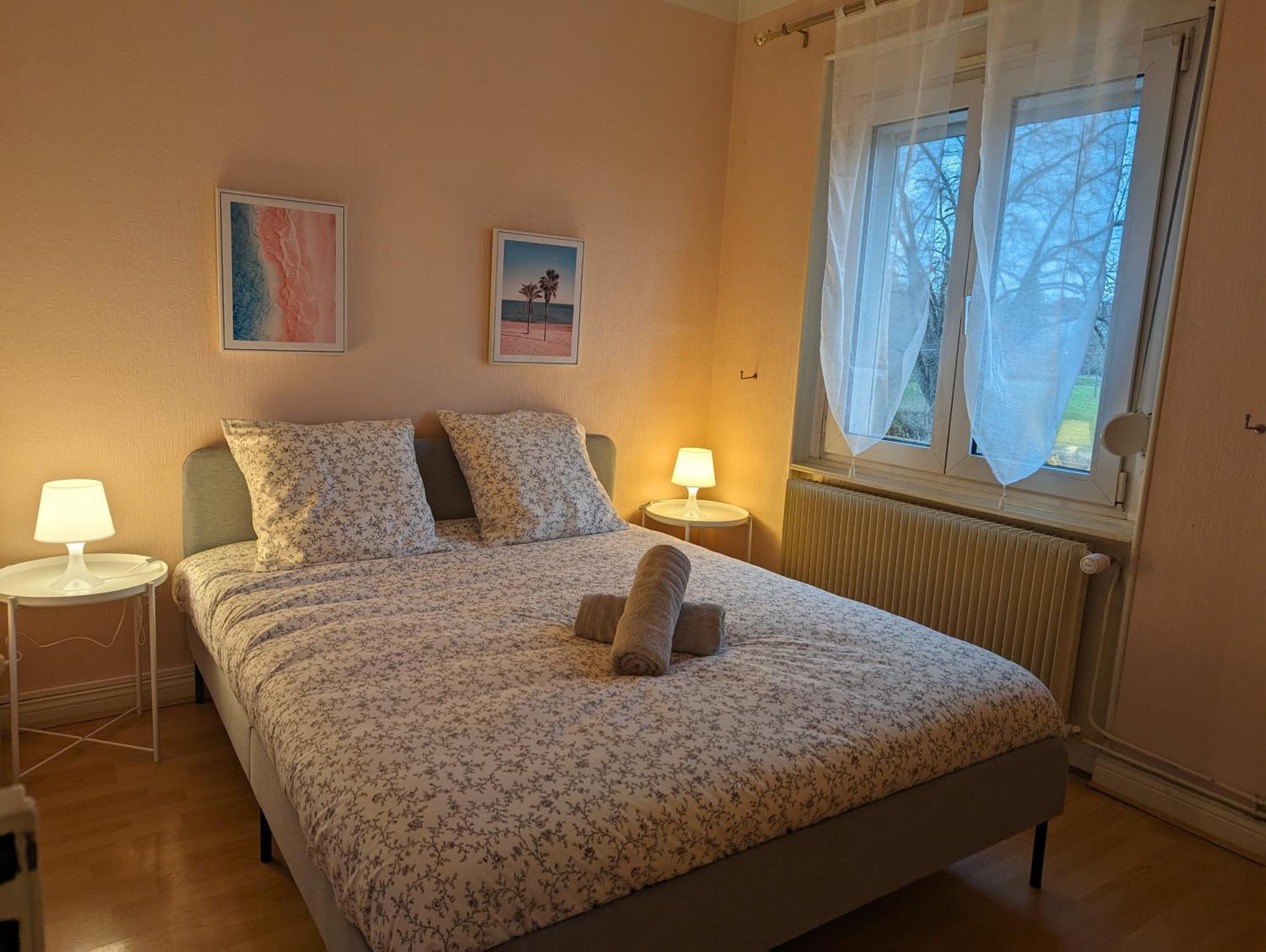 Le Balois - Appartement 2 Chambres, Salon, Cuisine Equipee, Parking Et Wifi Gratuit Mulhouse Bagian luar foto