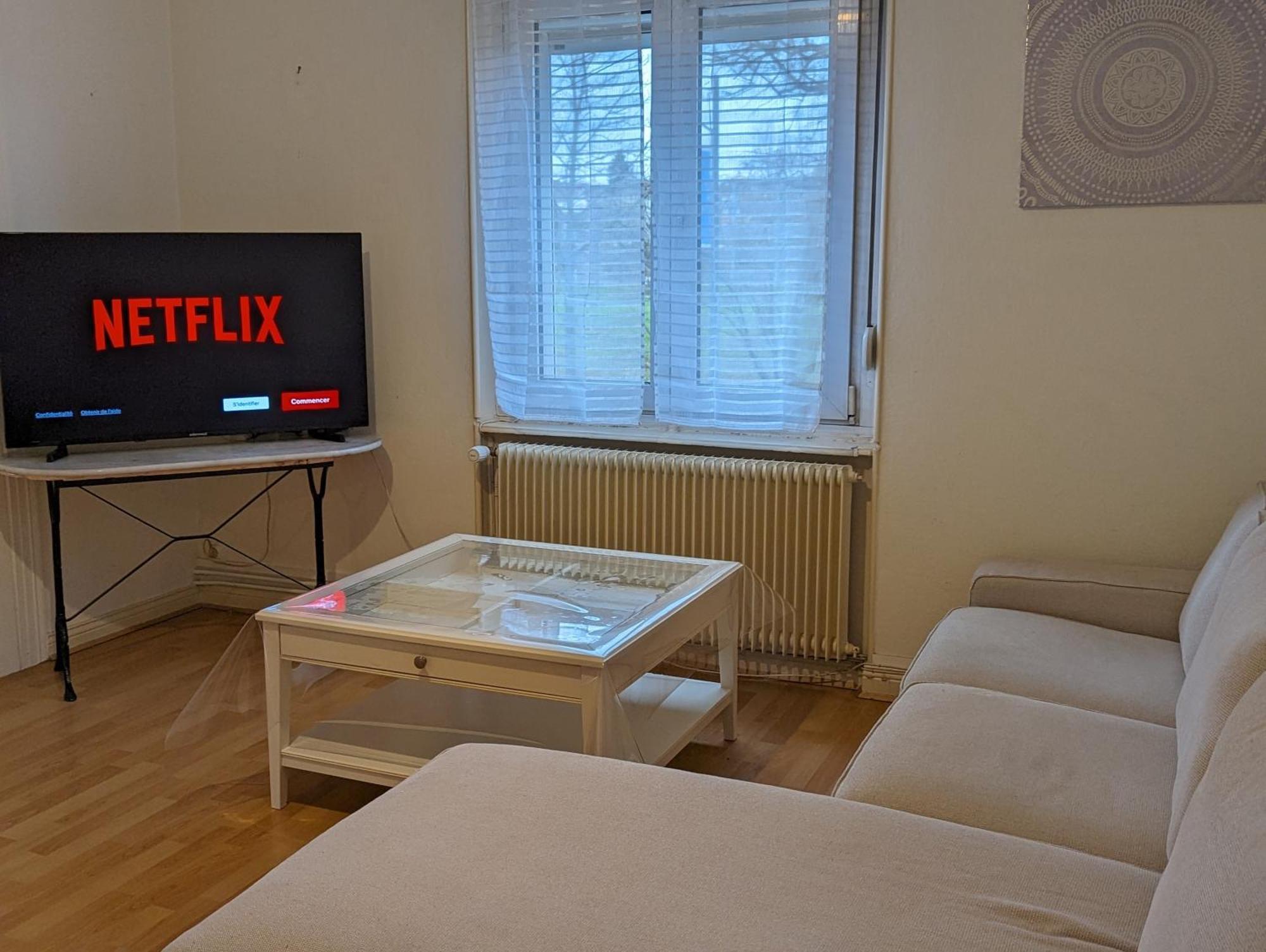 Le Balois - Appartement 2 Chambres, Salon, Cuisine Equipee, Parking Et Wifi Gratuit Mulhouse Bagian luar foto