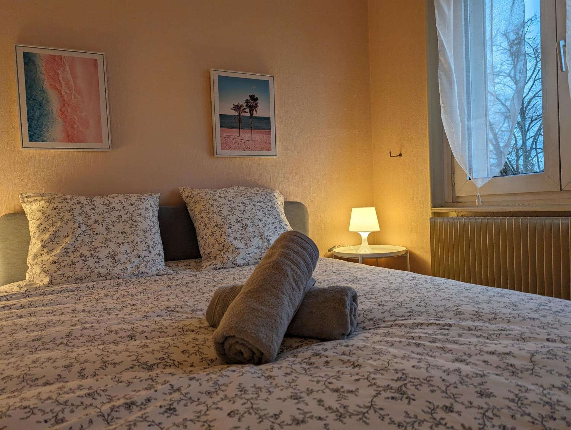 Le Balois - Appartement 2 Chambres, Salon, Cuisine Equipee, Parking Et Wifi Gratuit Mulhouse Bagian luar foto